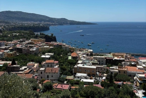 Da Roma: tour guidato del meglio di Pompei e gita di 1 giorno a Sorrento