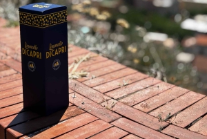 Da Roma: tour guidato del meglio di Pompei e gita di 1 giorno a Sorrento