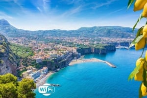 Fra Rom: Det bedste af Pompeji med guidet tur og dagstur til Sorrento