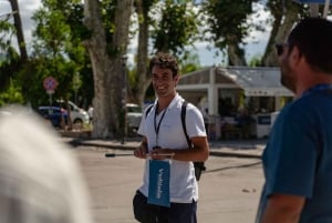 Fra Rom: Det bedste af Pompeji med guidet tur og dagstur til Sorrento