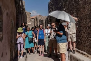 Fra Rom: Det bedste af Pompeji med guidet tur og dagstur til Sorrento