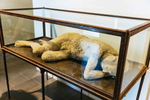 Fra Rom: Det bedste af Pompeji med guidet tur og dagstur til Sorrento