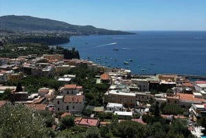 Fra Rom: Det bedste af Pompeji med guidet tur og dagstur til Sorrento