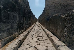 Fra Rom: Det bedste af Pompeji med guidet tur og dagstur til Sorrento