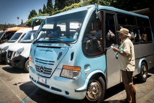 Från Rom: Guidad dagsutflykt till Capri med Blue Grotto