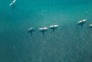 From Rome: Castel Gandolfo Kayak and Swimming Lake Tour