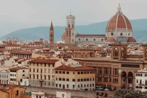 From Rome: Day trip in Florence by high speed train