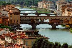 From Rome: Day trip in Florence by high speed train