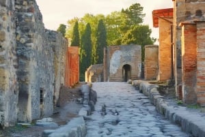 Rooma Päiväretki: Pompeji ja Vesuvius omatoimisesti