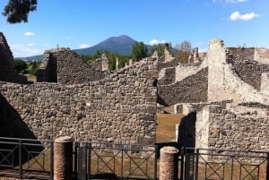Rooma Päiväretki: Pompeji ja Vesuvius omatoimisesti