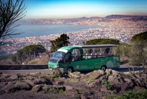 Rooma Päiväretki: Pompeji ja Vesuvius omatoimisesti