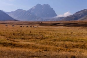 Da Roma: Escursione di un giorno in Abruzzo, gemma nascosta d'Italia