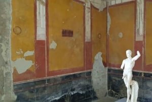 From Rome: Pompeii Day Trip with Guided Tour