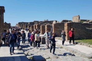 From Rome: Pompeii Day Trip with Guided Tour