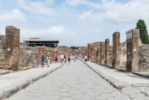 From Rome: Day Trip to Pompeii with Tickets and Pizza Lunch