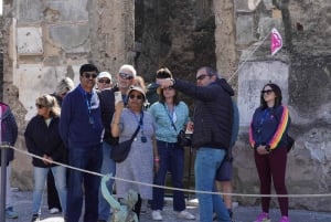 Desde Roma: Excursión de un día a Pompeya con entradas