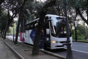 Fra Roma: Dagstur til Pompeii med billetter