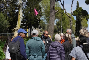 Fra Roma: Dagstur til Pompeii med billetter