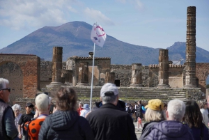 Fra Roma: Dagstur til Pompeii med billetter