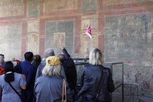 Fra Roma: Dagstur til Pompeii med billetter