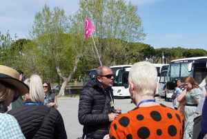 Z Rzymu: 1-dniowa wycieczka do Pompejów z biletami