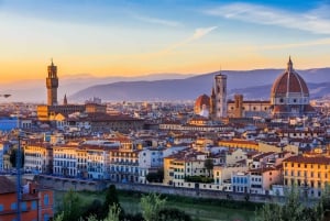 Da Roma: scoprite Firenze e Pisa in un tour di un giorno