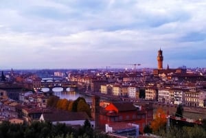 Da Roma: scoprite Firenze e Pisa in un tour di un giorno