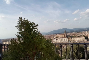 Florence from Rome: Enjoy a Day Tour by High-Speed Train