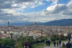 Florence: Day Trip by High-Speed Train & Accademia