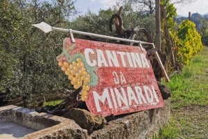 Da Roma: Tour di mezza giornata del vino di Frascati con pranzo in agriturismo