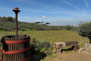 From Rome: Frascati Wine Tour with Lunch and Vineyard tour