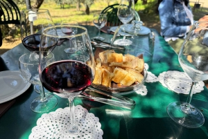 From Rome: Frascati Wine Tour with Lunch and Vineyard tour