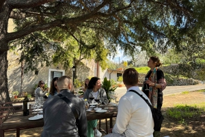 From Rome: Frascati Wine Tour with Lunch and Vineyard tour