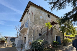From Rome: Frascati Wine Tour with Lunch and Vineyard tour