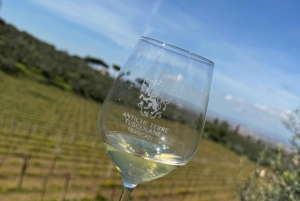 From Rome: Frascati Wine Tour with Lunch and Vineyard tour