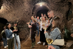 From Rome: Frascati Wine Tour with Lunch and Vineyard tour