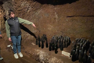 From Rome: Frascati Wine Tour with Lunch and Vineyard tour