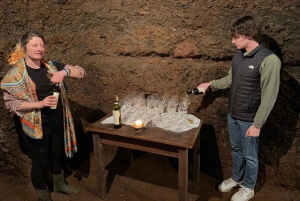 From Rome: Frascati Wine Tour with Lunch and Vineyard tour