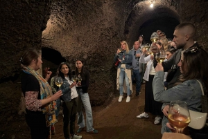 From Rome: Frascati Wine Tour with Lunch and Vineyard tour