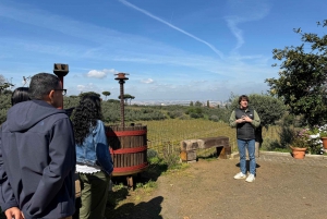 From Rome: Frascati Wine Tour with Lunch and Vineyard tour