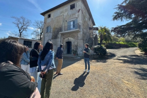 From Rome: Frascati Wine Tour with Lunch and Vineyard tour