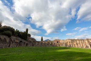Sorrento & Pompeji Dagsutflykt från Rom med upphämtning från hotell