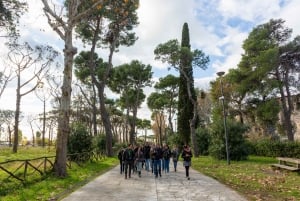 Sorrento & Pompeji Dagsutflykt från Rom med upphämtning från hotell
