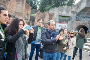 Sorrento & Pompeji Dagsutflykt från Rom med upphämtning från hotell