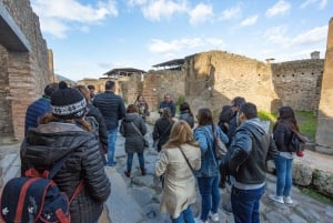 Sorrento & Pompeji Dagsutflykt från Rom med upphämtning från hotell