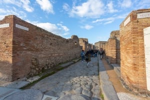 Sorrento & Pompeji Dagsutflykt från Rom med upphämtning från hotell