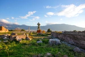 Sorrento & Pompeji Dagsutflykt från Rom med upphämtning från hotell
