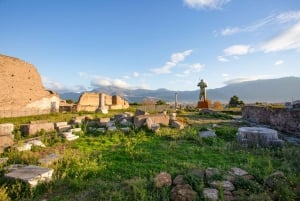 Sorrento & Pompeji Dagsutflykt från Rom med upphämtning från hotell
