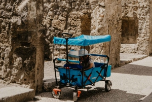 Vanuit Rome: Een dagtrip naar de ruïnes van Pompeii met de hogesnelheidstrein