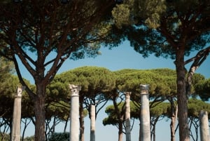 Depuis Rome : visite guidée de 4 heures d'Ostia Antica